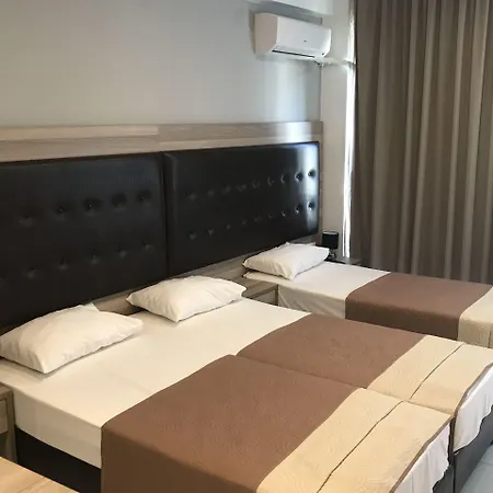 酒店 雷克斯酒店 2*