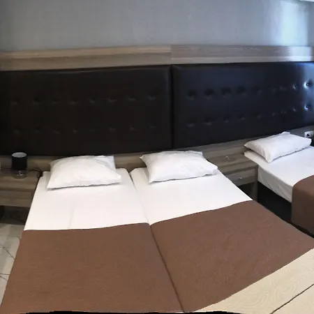 酒店 雷克斯酒店 2*