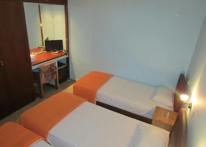 Hotel Rex 2*