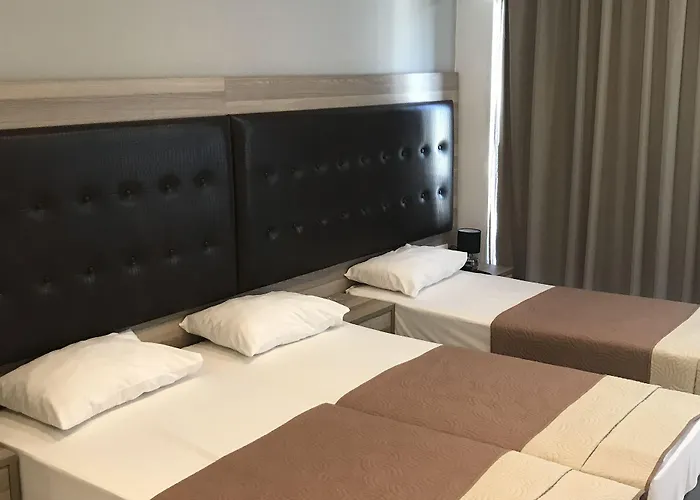Hotel Rex 2*