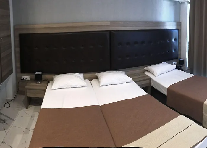 Hotel Rex 2*